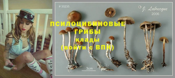 мяу мяу кристалл Инсар