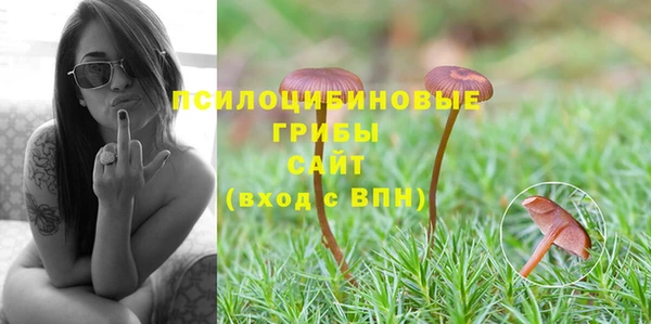 мяу мяу кристалл Инсар