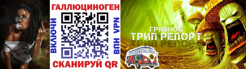 Купить  Северо-Курильск  Галлюциногенные грибы мицелий 
